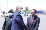 دعوات العفو عن القوى المدنية.. سخرية أم خطة؟