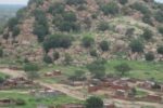 مليشيا الدعم السريع تُبيد أشجار الهشاب في كردفان بتمويل إماراتي لإنهاء سيطرة السودان على الصمغ العربي.