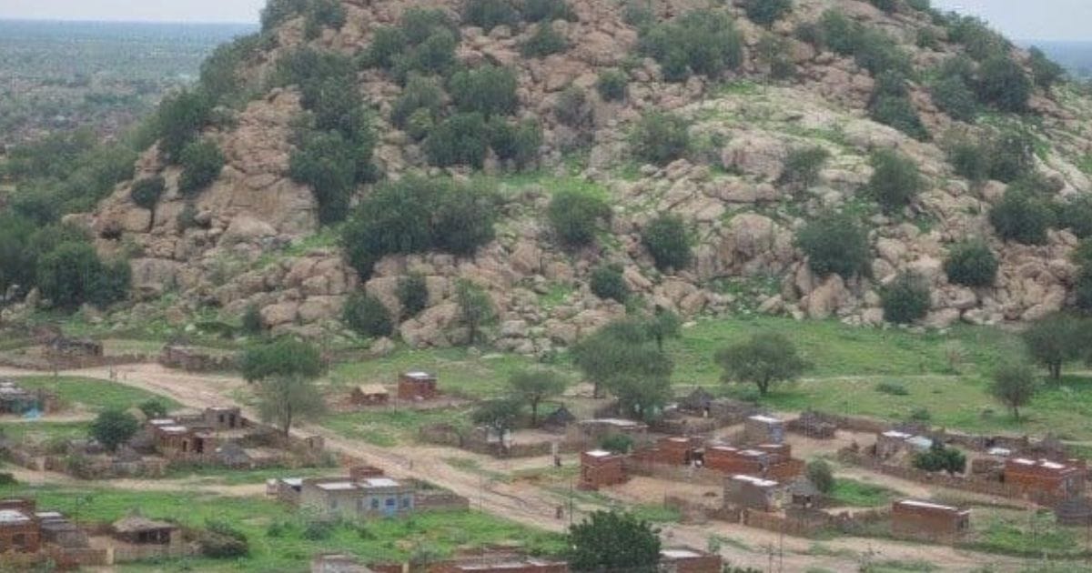 مليشيا الدعم السريع تُبيد أشجار الهشاب في كردفان بتمويل إماراتي لإنهاء سيطرة السودان على الصمغ العربي.