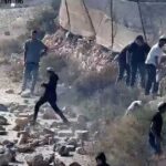 الهيئة وثقت ارتفاعاً في الاعتداءات والاستيلاء على أراضي فلسطينية خلال يوليو.