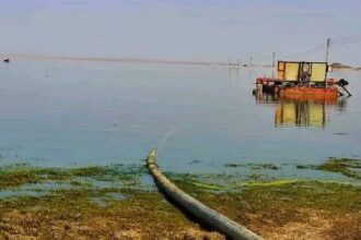 مجموعة مجهولة تستخدم الصعق الكهربائي للصيد في وادي حلفا وسط تجاهل شبه تام.