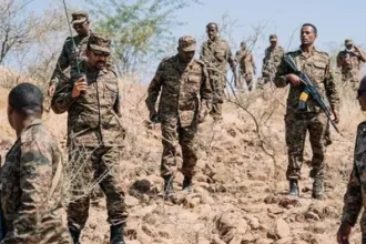 الدفاعات الجوية السودانية تُسقط مسيرة استراتيجية ثانية في النيل الأزرق.