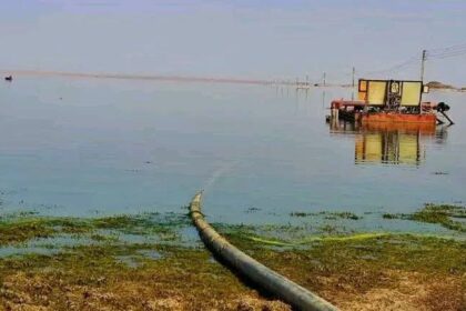 مجموعة مجهولة تستخدم الصعق الكهربائي للصيد في وادي حلفا وسط تجاهل شبه تام.