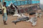 مصرع ثلاثة وإصابة آخرين في حادث مروري بشع بالحدي ونفوق سبعة حمير.