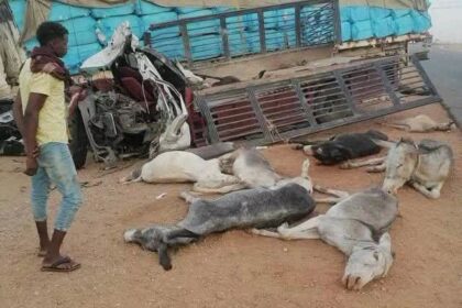 مصرع ثلاثة وإصابة آخرين في حادث مروري بشع بالحدي ونفوق سبعة حمير.
