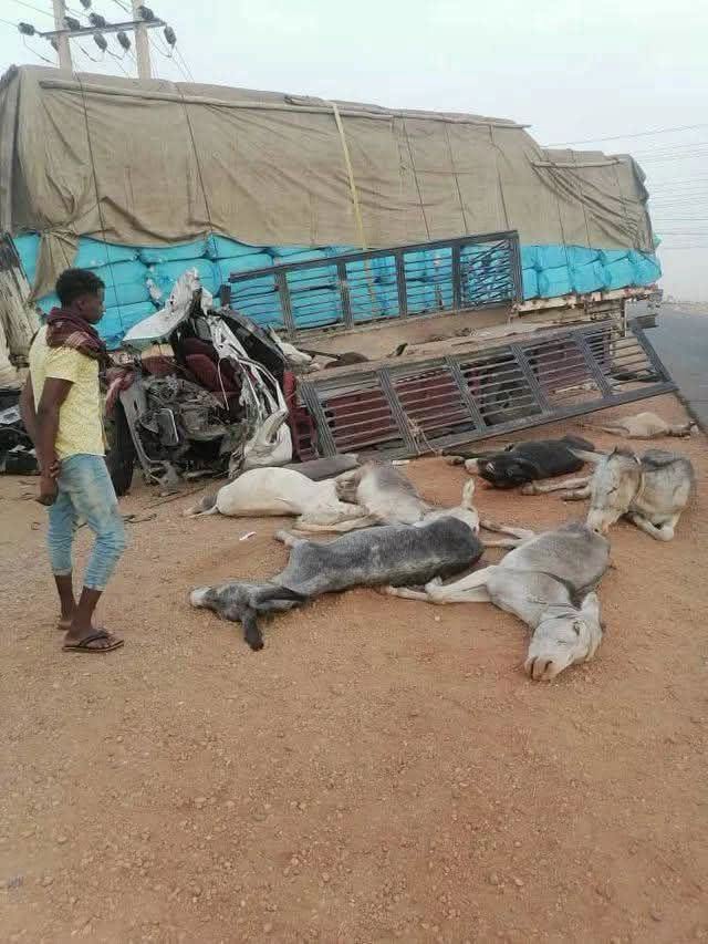 مصرع ثلاثة وإصابة آخرين في حادث مروري بشع بالحدي ونفوق سبعة حمير.