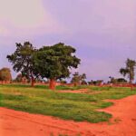 الجيش السوداني يسيطر على الفرشاية ويحرر الممسوكة لفتح طريق الدلنج الأبيض.