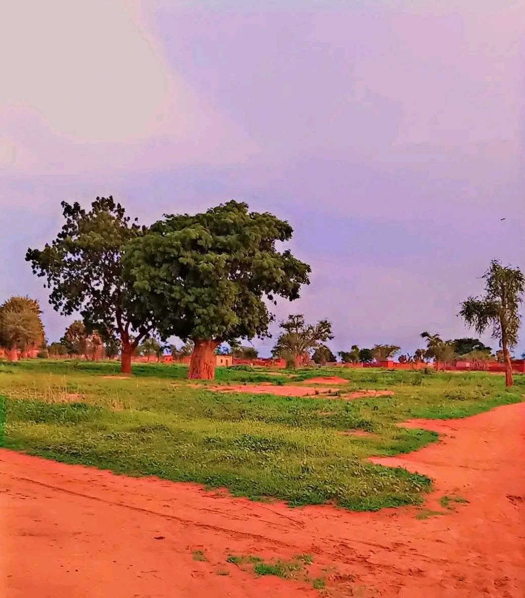 الجيش السوداني يسيطر على الفرشاية ويحرر الممسوكة لفتح طريق الدلنج الأبيض.