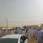 رئيس الوزراء يوجه بتجميد إجراءات شركة دواجن النيل لحين الدراسة والتشاور.