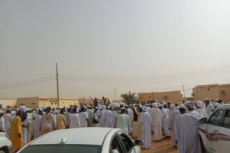 رئيس الوزراء يوجه بتجميد إجراءات شركة دواجن النيل لحين الدراسة والتشاور.