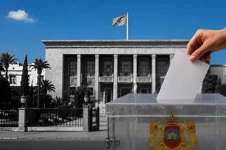 المغرب يعتمد 3006 مراقبًا لانتخابات 23 سبتمبر.