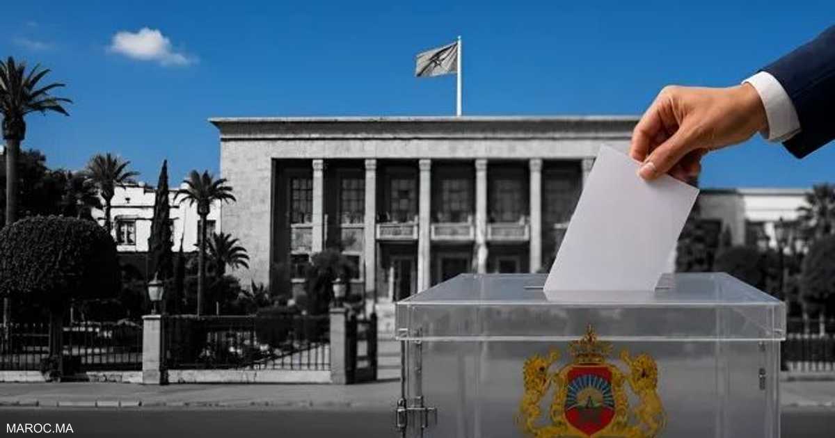 المغرب يعتمد 3006 مراقبًا لانتخابات 23 سبتمبر.