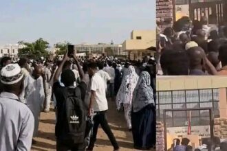 تدافع غير مسبوق في مرمز استخراج الشهادة السودانية بأمدرمان