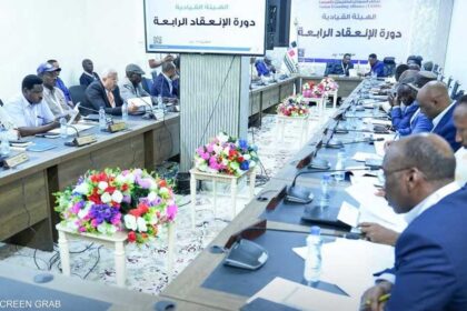الهيئة القيادية للتحالف تقرر تأسيس الجيش الوطني الجديد في دارفور.
