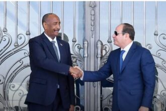 وزيرا الخارجية والنقل المصريان يزوران السودان لبحث مشروعات مشتركة ومشروع العاصمة الإدارية الجديدة.