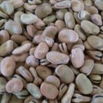 الهيئة العامة للجمارك تطالب بفك حظر الأرز والفول المصري.