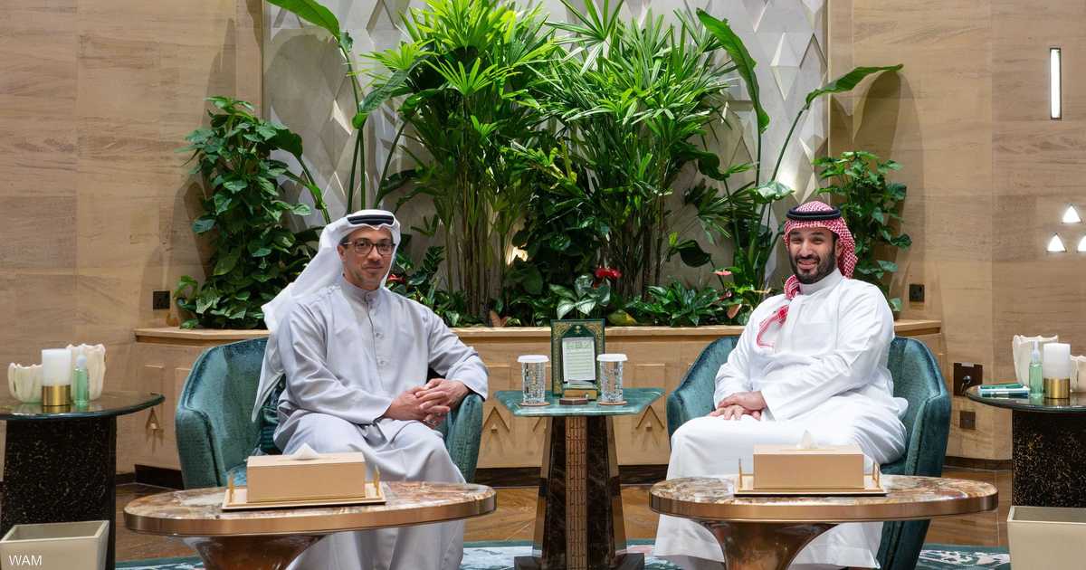 الشيخ منصور بن زايد يزور السعودية يبحث العلاقات الأخوية وتطورات الإقليمية ويغادر لاحقاً