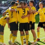 دورتموند يتعادل في الشوط الثاني ويحقق فوزاً متأخراً على هوفنهايم