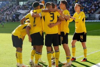 دورتموند يتعادل في الشوط الثاني ويحقق فوزاً متأخراً على هوفنهايم