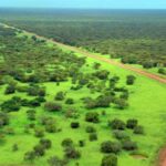 تقرير الأمم المتحدة يكشف عن شبكة إمداد إقليمية تتيح لمليشيات السودان الاستمرار في الحرب