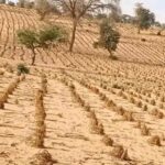 جفاف شامل يهدد بزراعة دارفور ويسبب قلقا إنسانيا متزايدا