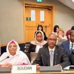 السودان يطالب الأمم المتحدة بوقف دعم الإمارات للمليشيا ويدعو إلى دعم لجنة التحقيق الوطنية