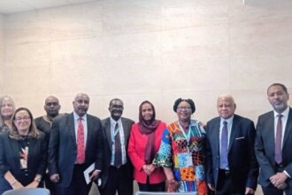 البعثة تواصل تحقيقاتها في استخدام الأسلحة الخارجية في السودان