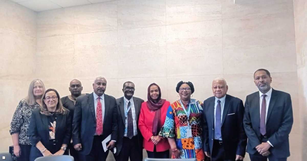 البعثة تواصل تحقيقاتها في استخدام الأسلحة الخارجية في السودان