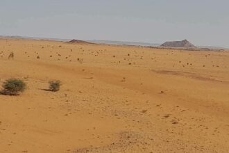 فشل الموسم الزراعي في جبل عيسى يهدد بمجاعة وسط تدهور الأوضاع المعيشية.