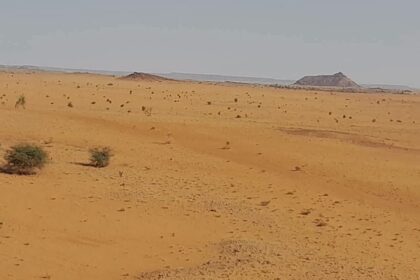 فشل الموسم الزراعي في جبل عيسى يهدد بمجاعة وسط تدهور الأوضاع المعيشية.