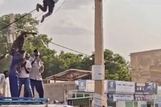 شاب سوداني يصعد عمود كهرباء في كسلا ويُوقف قبل وقوع حادثة.