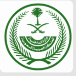 مشاركة إماراتية في تحقيق أسباب هبوط طائرة فلاي دبي الاضطراري في تبوك