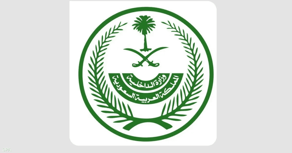 مشاركة إماراتية في تحقيق أسباب هبوط طائرة فلاي دبي الاضطراري في تبوك