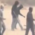 إصابة صحفية أميركية واعتداء على مزارعين فلسطينيين في الضفة الغربية