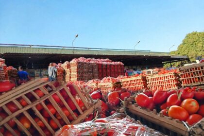 انخفاض حاد في أسعار الخضروات في وادي حلفا بعد وصول إمدادات مصرية.