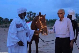 خطوة إهداء دقلو خيول للداعمين لمشروع غرب السودان تثير جدلاً واسعاً.