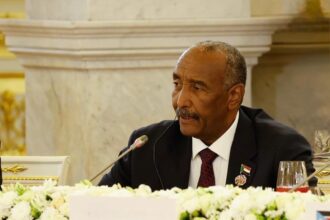 البرهان يؤكد على سعي السودان نحو السلام والاستقرار في القمة الروسية الافريقية ويشيد بدعم موسكو.