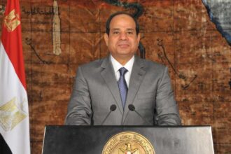 السيسي يؤكد رفض مصر للتدخلات الخارجية في الشؤون الإفريقية وضرورة التعاون المشترك