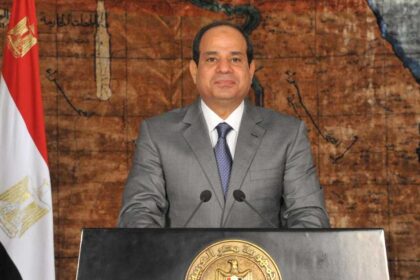 السيسي يؤكد رفض مصر للتدخلات الخارجية في الشؤون الإفريقية وضرورة التعاون المشترك