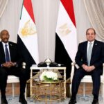 الرئيس المصري يستضيف رؤساء أفارقة ورجال أعمال في مأدبة غداء لمناقشة التعاون القاري وتحديات التمويل العالمي