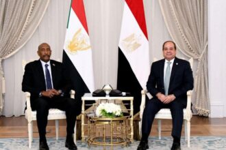 الرئيس المصري يستضيف رؤساء أفارقة ورجال أعمال في مأدبة غداء لمناقشة التعاون القاري وتحديات التمويل العالمي