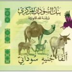 توقعات واسعة حول حذف الأصفار من العملة السودانية تغذي الحوار العام.