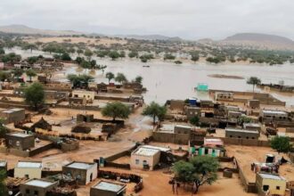 تقدم كبير للقوات المسلحة وقوات درع السودان في كردفان وتدمير متحرك مليشيا ووصول تعزيزات للنيل الأزرق.